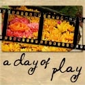 a day of play : 
