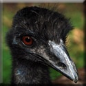 My Photo Blog : Photography,Photo,Pictures,Animals