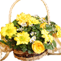 April's treasure : Live life, love life!