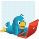 The Twitter Files : tweet, the twiiter files, micro blogged, famous tweets, twitterdome