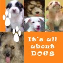 All About Dogs : dog,health, diseases, grooming, behavior, training