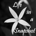 Life In A Snapshot : 