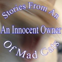 Stories From an Innocent Owner of Mad Cats : Stories about Life, Cats and the Madness that Follows
