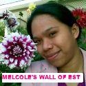 MelCole's Wall of Experiences, Skills and Talents : 