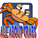 All About Crabs : crab, cooking, culinary, cuisine, restaurant, fish, food, beverages, chef