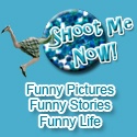Shoot-Me-Now! : Funny Pictures Funny Stories Funny Life