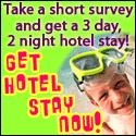 Paid Surveys and Sweepstakes : 