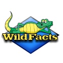 Wild Facts : 1000 Animal Facts