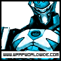 wrapworldwide.com : In Christed.