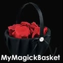 My Magick Basket : Abracadabra! Goo goo goo jub!