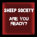Sheep Society : Some great info about society.