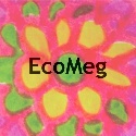 EcoMeg : green living, cooking, parenting, life