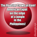 The Rooster Crows at 4am! : the edge of jungle Philippines
