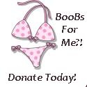 Boobs For Me?!?! : Donate Today!