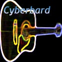 Cyberbard : A busker's diary