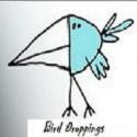 Little Bird Droppings : rants and ramblings