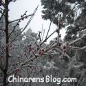 Living and Writing in China : The Highs and Lows of the Waking Dragon
