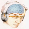 Brain Frequency and Binaural Beats : 