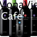 The MonaVie Cafe' : join me in health and wealth