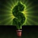 moneywise : money, debts, creditcard,loan