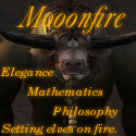 Mooonfire : Elegance, mathematics, philosophy, setting elves on fire.