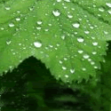 Books Hive : free book, ebook, free download, book download, review 