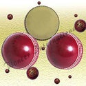 Cricket Unlimited : Cricket Fever all the way