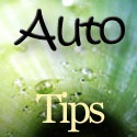 ++Indoor and Outdoor Decoration++ : 