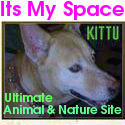 Its My Space : Ultimate Blog for Animal Lovers
