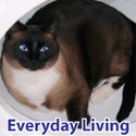 Everyday Living : 