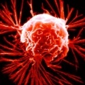 Overcoming Diseases : cancer, health, diseases, medicine, cure, life
