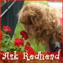 Ask Redhead Riter : Questions, Answers and Secrets