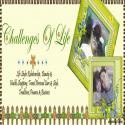 Challenges Of Life : Life Styles, Beauty & Health,Shopping, Pets, Business