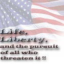 Paul's Political Punditcy : Conservative Political Analysis