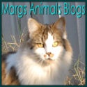 Margs Animals Blogs : Pets, horses, dogs, cats, donkeys, goats, rescue, 
