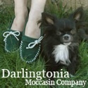 Darlingtonia Moccasin Company Blog : 