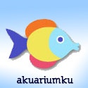 Fish and Aquarium : Tips and Guides