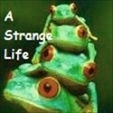 A Strange Life : Tastes like silly.