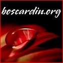 Maria Boscardin : 