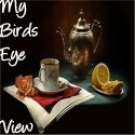 my birds eye view : travel