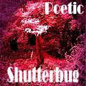 Poetic Shutterbug : A Poet With A Camera
