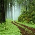 CARBON NEUTRAL : PROMOTE GREEN THINKING ,LIVING