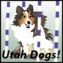 Utah Dogs : For Dogs and their People in Utah!