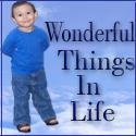 Wonderful Things in LIfe : subscribe in here