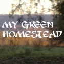 My Green Homestead : It's Not Easy Being Green