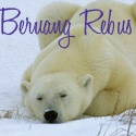 Animal Lovers : bear, animal, wildlife, pets
