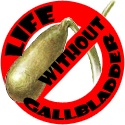 Life Without Gallbladder : a journey of life without gallbladder