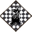 Knight Of Chess Academy : A Beginner's Guide