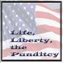 Paul's Political Punditcy : Conservative Political Analysis