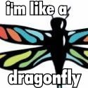 I'm like a dragonfly : you will never find me